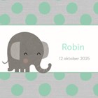 geboorte kaartje olifantje